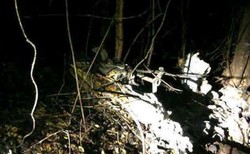 Alat Altimeter Pesawat Piper Navajo Ikut Hangus Terbakar