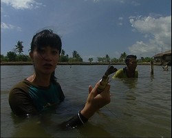 LUMBUNG HARTA SUMBAWA