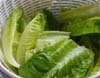 Menyimpan Lettuce