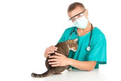 Hewan Juga Bisa Kena Kanker, Tapi Kenapa Manusia Paling Banyak?