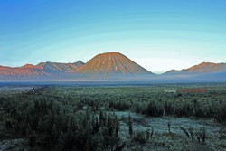 bromo