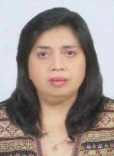 Sekjen MTI: Penegakan Hukum di Jalan, Cara Tekan Kecelakaan Pemudik Bermotor