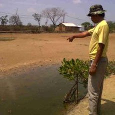 Kekeringan, Pemilik Tambak di Marunda Rugi Rp 20 Juta