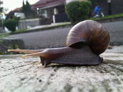 Berjemur di Minggu pagi