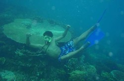 Ketagihan Free Dive di Perairan Derawan