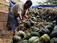 Usai Lebaran, Harga Blewah Turun