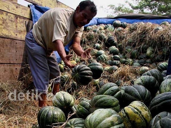 Usai Lebaran, Harga Blewah Turun