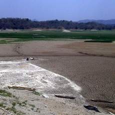 Peluang di Tengah Keringnya Waduk Pacal