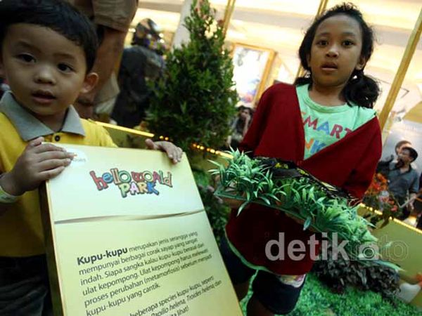 Disini Anak-anak Bisa Belajar Mengenal Alam