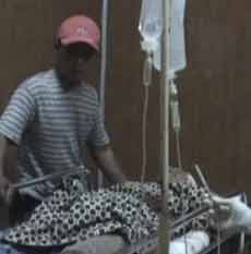 Ribut Masalah Tanaman Sengon, Dua Orang Berstatus Haji Bacokan