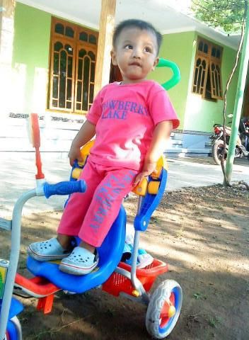 Lexcy Mahardika Ergi, 1,7 Tahun, Lelaki