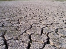 BMKG: Musim Hujan di Indonesia Akan Mengalami Keterlambatan