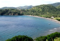 Nipah, Pantai Sepi Penuh Sapi di Lombok
