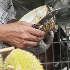 Adu Mulut Saat Beli Durian, Pria Singapura Ditikam dari Belakang