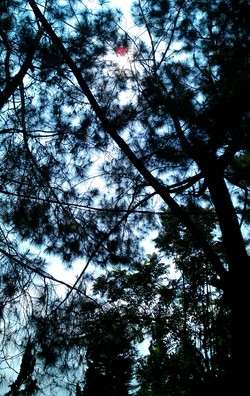 Melawan Matahari