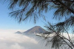 Ada Negeri Atas Awan di Gunung Sumbing