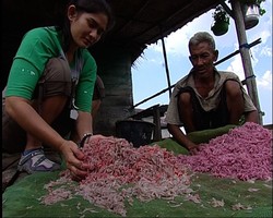 KEKAYAAN DUSUN SEMBILANG