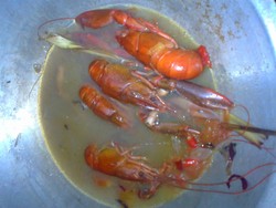 lobster piaraan