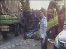 Empat Sapi Mati, Sopir dan Kenek Luka Parah