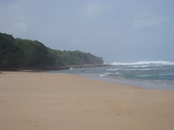 Menghirup Udara Pantai Paling Perawan di Ujung Kulon