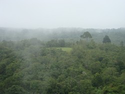 Menghirup Udara Paling Bersih di Paru-paru Indonesia