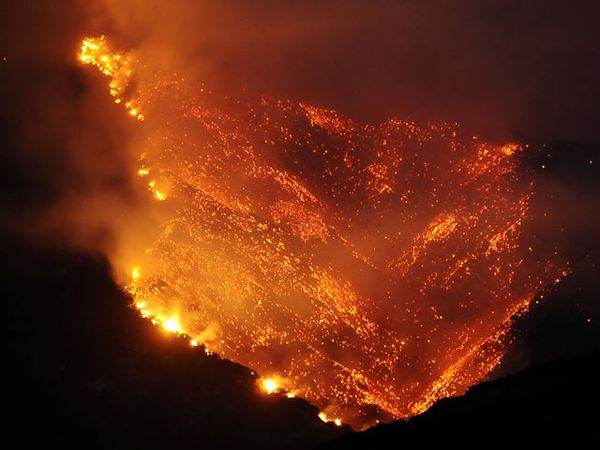 Ribuan Hektar Hutan di California Terbakar