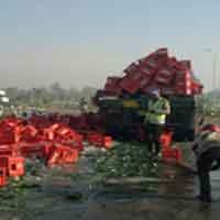 Ribuan Botol Coca Cola Jatuh dari Truk di Jalan Arteri Porong
