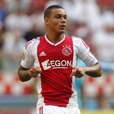 PSG Datangkan Van der Wiel