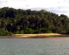 Duh! Pulau Gambar di Laut Jawa Dijual Murah Seharga Rp 6.8 M