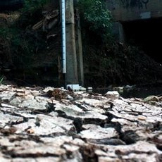 Tak Kunjung Hujan, Jakarta Kekeringan