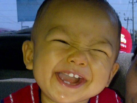 Roberto Joshua Bagus Ditrya, 1,1 Tahun, Lelaki