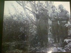 Ziarah ke Pulau Ubi Jadi Tujuan Keluarga Kartosoewirjo