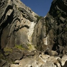 Awas! Virus Taman di California Tewaskan 3 Orang