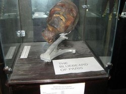 Kepala Sungguhan & Koleksi Seram Lain di Museum of Death