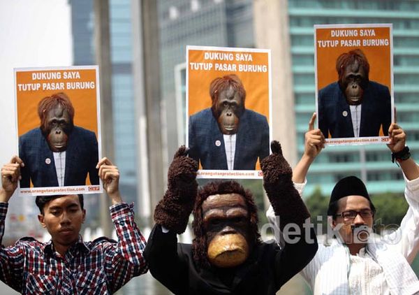 Massa COP Tuntut Pasar Burung Pramuka Ditutup