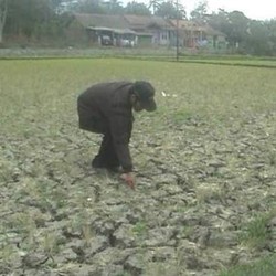 Jawa Barat Terancam Kekeringan, Jakarta Waspada