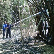 Salat Jumat Batal Gara-gara Kebun Bambu Terbakar