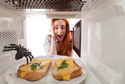 Biar Tak Panik Lihat Laba-laba, Teriak Saja Sambil Ngaku Kalau Takut