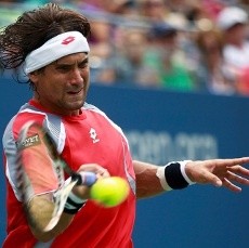Ferrer ke Semifinal Usai Main Lima Set