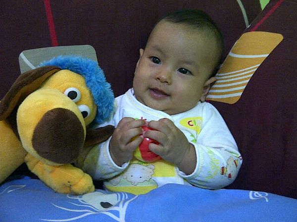 Ibrahim Faruq Agevtazein, 7 Bulan, Lelaki