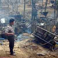 Tambang Emas Banyuwangi, IMN vs Intrepid?