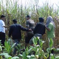 Terobos Pengamanan Polisi, Imigran Gelap Asal Irak Kabur dari Penginapan