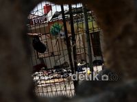 Olah TKP Usai, Jalan Nusantara Kembali Dibuka