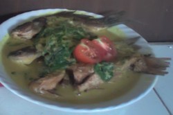 si ikan mas bayam fav. kel tercinta