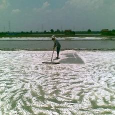 Petani Garam di Jatim Desak Pemerintah Tolak Garam Impor