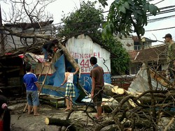 Pohon Timpa Bengkel dan PJU Ambruk di Jalan Soekarno Hatta