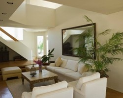 Sentuhan Tropis untuk Suasana Rumah Lebih Hangat & Ceria