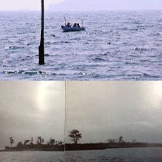 Pulau Ubi, Dulu dan Sekarang