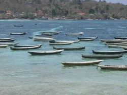 Seru! Berburu Rumput Laut di Nusa Lembongan