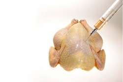 Awas, Antibiotik pada Ternak Masih Tersisa Dalam Daging Olahan